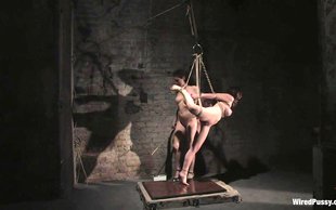 Strong and powerful lesbian is making her bitch do nasty stuff